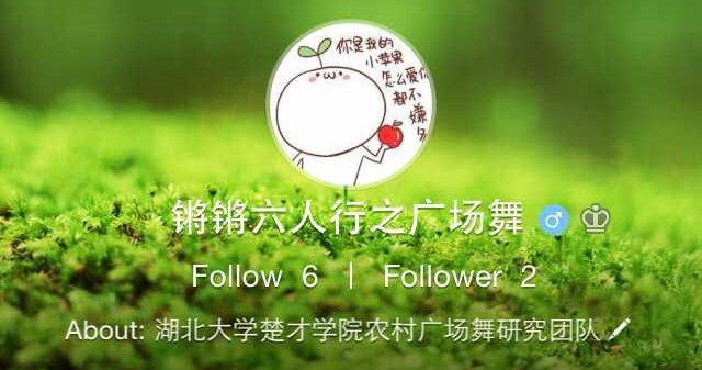 湖北大學(xué):夕陽(yáng)紅團(tuán)隊(duì) 
實(shí)踐地:湖北咸寧市