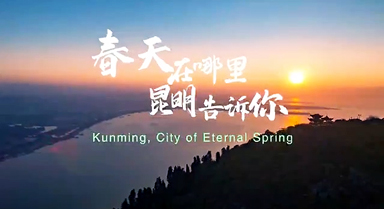 春天在哪里?昆明告訴你